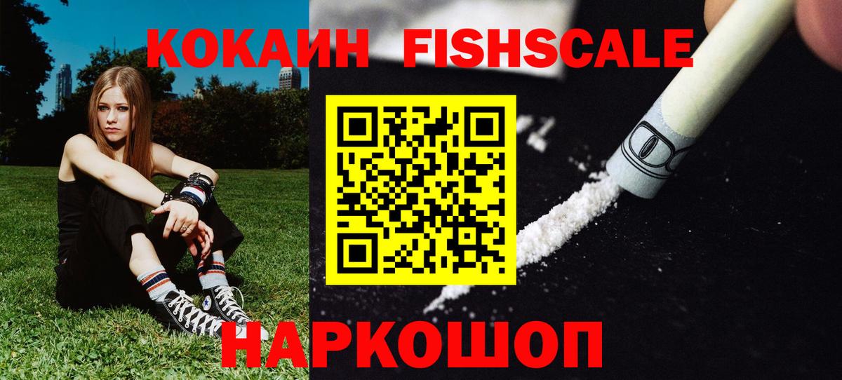 Cocaine Fish Scale  Вход с VPN  Баксан 