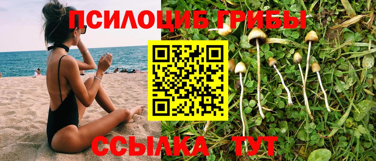 Псилоцибиновые грибы Cubensis Баксан