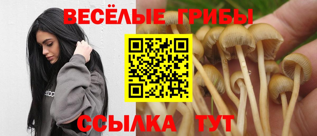 Галлюциногенные грибы Magic Shrooms  Псилоцибиновые грибы ЛСД  Баксан  Вход с VPN 